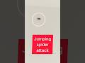 Jumping Spider