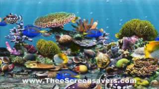 Awesome 3D Fish ScreenSaver-Brand new ones for 2010!