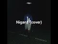 Nigana Cover 2026