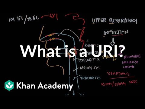 ऊपरी श्वसन संक्रमण (यूआरआई) क्या है? | एनसीएलईएक्स-आरएन | खान अकादमी