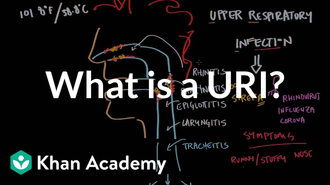 Upper Respiratory Infection How Long Does It Last - Human Anatomy