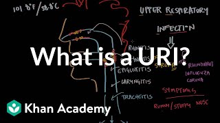 What is an upper respiratory infection (URI)? | NCLEX-RN | Khan Academy