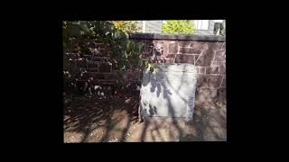 Grove Street Cemetery   Day 1   Part 2