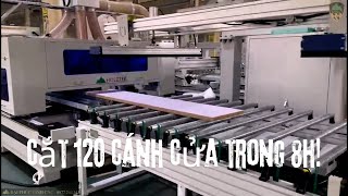 4 phút cắt xong một cánh, 120 cánh cho 8h làm việc, máy cắt 4 cạnh cửa tự động Holztek HT-2800S!