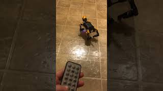 IMG 1979
