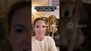 How To Say I Love You In Dog Language Pet Translator