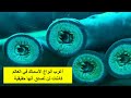 أغرب أنواع الأسماك في العالم كائنات لن تصدق أنها حقيقية 