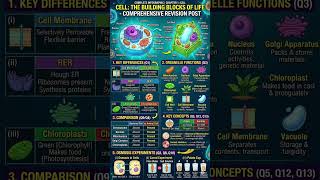 Cell: The Building Blocks of Life #class9science #ncertsolutions #ch2 #newncert #education #shorts