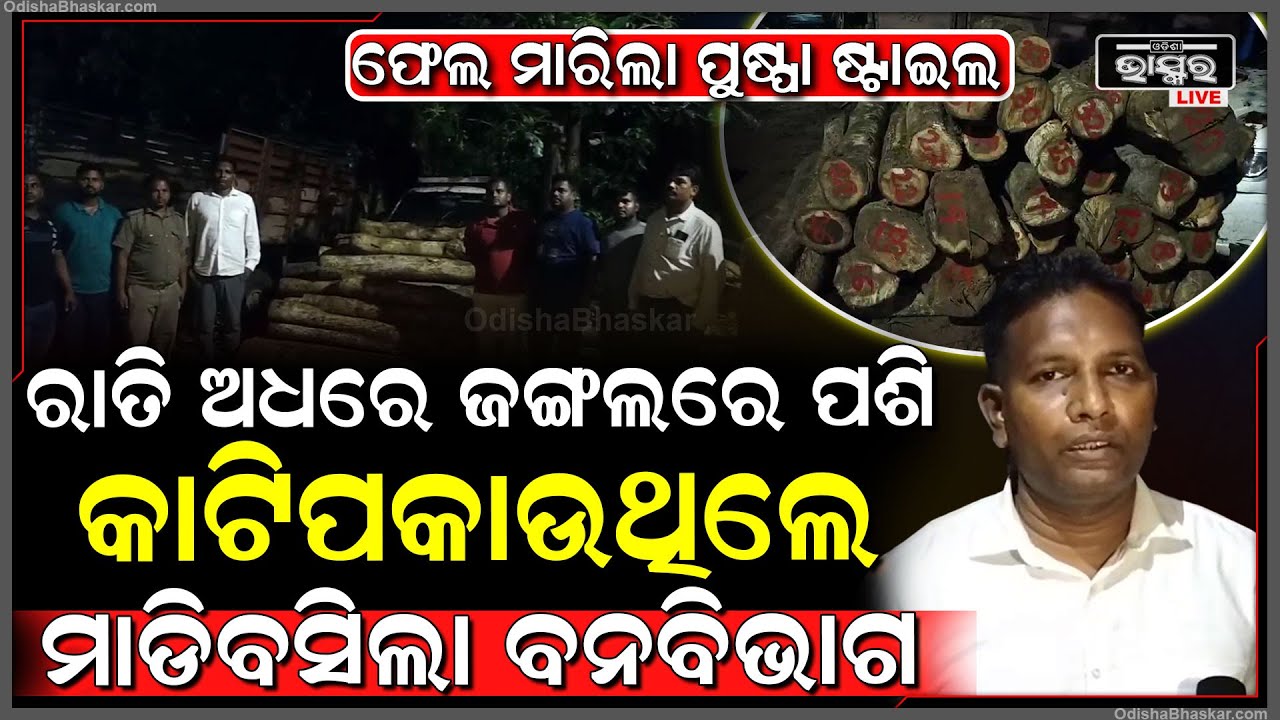 ବନବିଭାଗକୁ ପୁଣି ମିଳିଛି ବଡ଼ ଧରଣର ସଫଳତା , ବନବିଭାଗର ଅତର୍କିତ ଚଢ଼ାଉ ଦେଖି ଚିନ୍ତାରେ କାଠ ମାଫିଆ