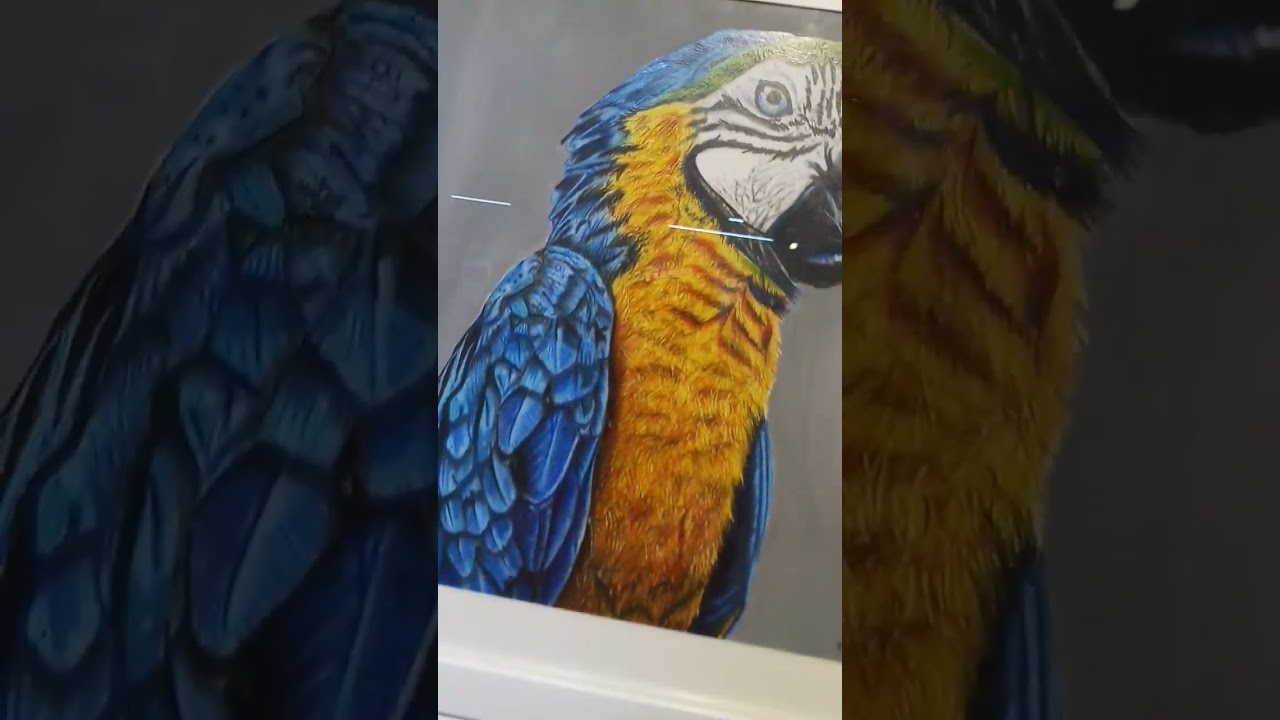 My 5 Artworks That I've Put in an Art Exhibition | Oil Painting/ Colour Pencil/Graphite || #shorts