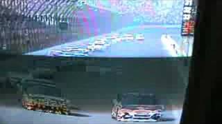 Nascar Bird Kill screenshot 5