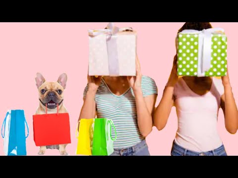 Vídeo: As melhores idéias do presente de feriado para cães & amantes do cão