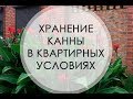 Хранение канны в квартире