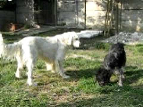 Eolo 2011-04-30A.AVI