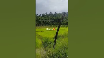heaven 🍀🥰#heaven #song #music