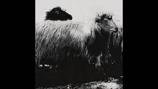 Belugueta - Tizia