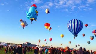 Celebrity Hot Air Balloon Festival Show! Net Worth