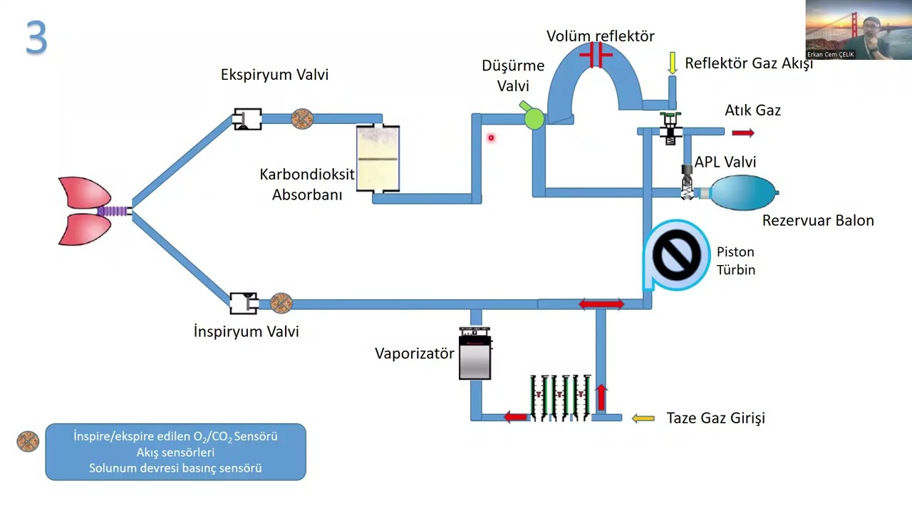 Anestezi Makinası   Düşük Akım Anestezi Uygulaması