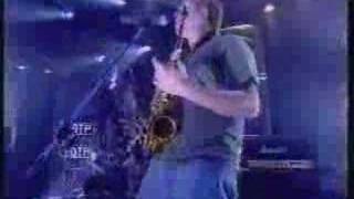 Dog Eat Dog-No Fronts