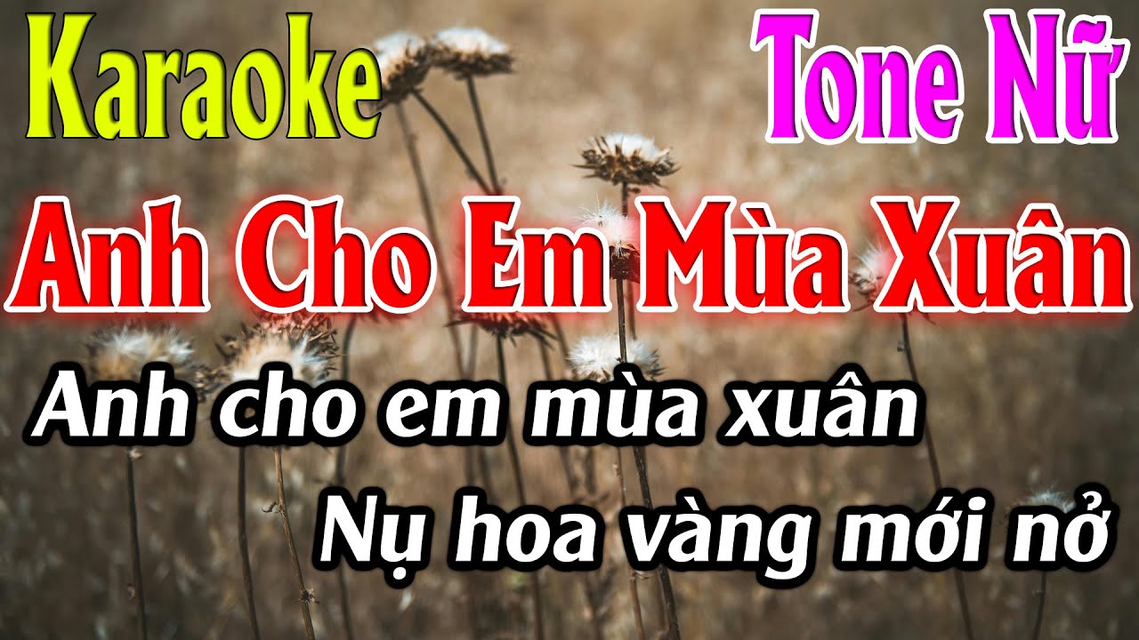 Anh Cho Em Mùa Xuân Karaoke Tone Nữ Karaoke Lâm Organ - Beat Mới