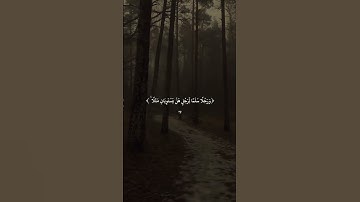 #قرأن #قرأن#تلاوة القرآن الكريم #تلاوة_خاشعة #المصحف #اكسبلور