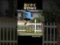 孫できて幸せMAX