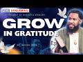 What You Have Is Just as Valuable as What You Want | Growing in Gratitude | Pastor Mike Jr