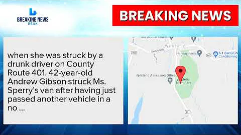 55-Year-Old Lisa Sperry Injured In Westerlo, NY Ac...