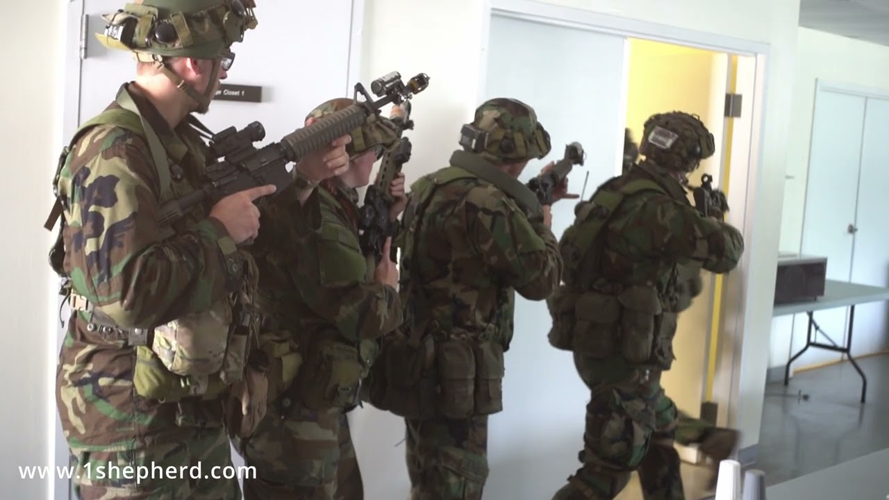 One Shepherd Bravo CO Summer 2025