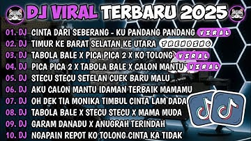 DJ TIKTOK TERBARU 2025🎵DJ CINTA DARI SEBERANG-KU PANDANG PANDANGAN🎵DJ TIMUR KEBARAT SELATAN KE UTARA