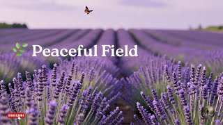 Peaceful Purple Flower Field 💜 | Relaxing Nature Ambience, Calm Breeze & Stress Relief screenshot 2
