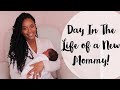 DAY IN THE LIFE OF A NEWBORN MOM! DITL!