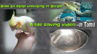 How to stop Vomiting In birds | Tamil