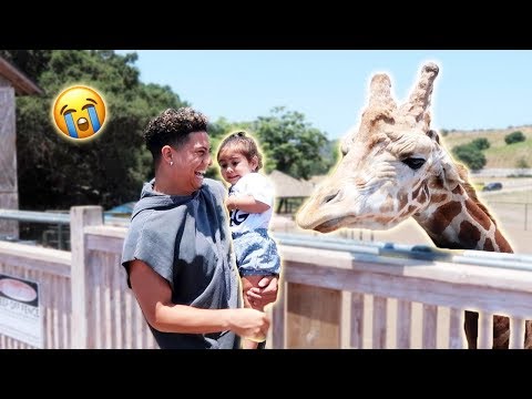 ELLE MEETS THE GIRAFFE...AND SHE FREAKS OUT!!! (SORRY ELLE)
