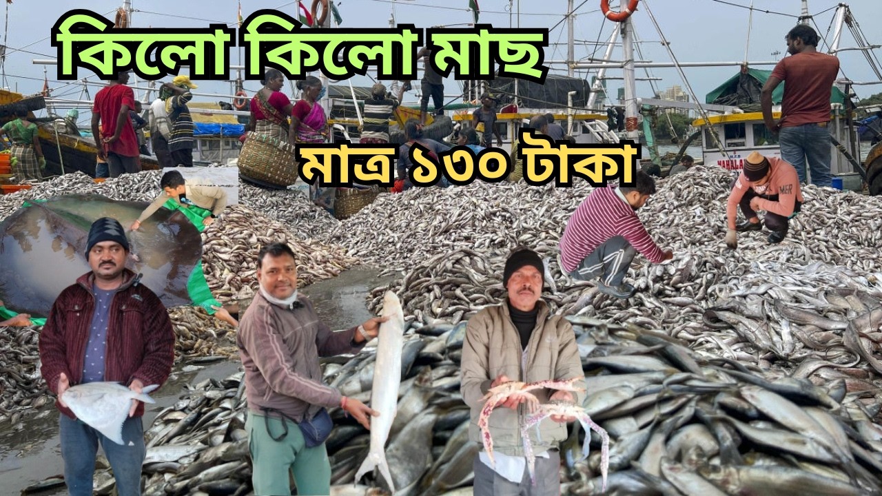 পশ্চিমবঙ্গের সবচেয়ে সস্তা ইন্টারন্যাশন মাছের আড়ত কোথায়?