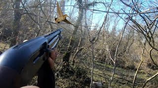 Çulluk Avi - Yavru Köpeği̇m Çullukla Tanişti , Shotkam