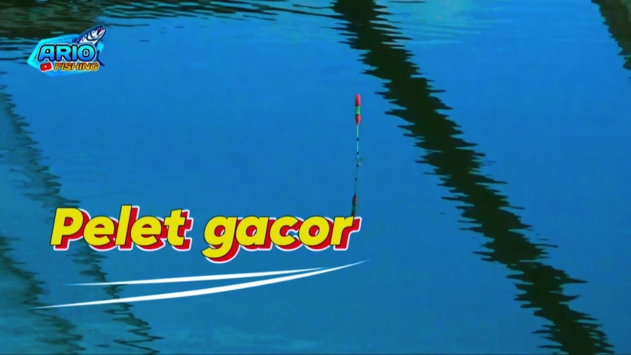 Media Pelet Spot Bonwatu Sumberpucung‼️ Waduk Karangkates Malang Jawa Timur Indonesia