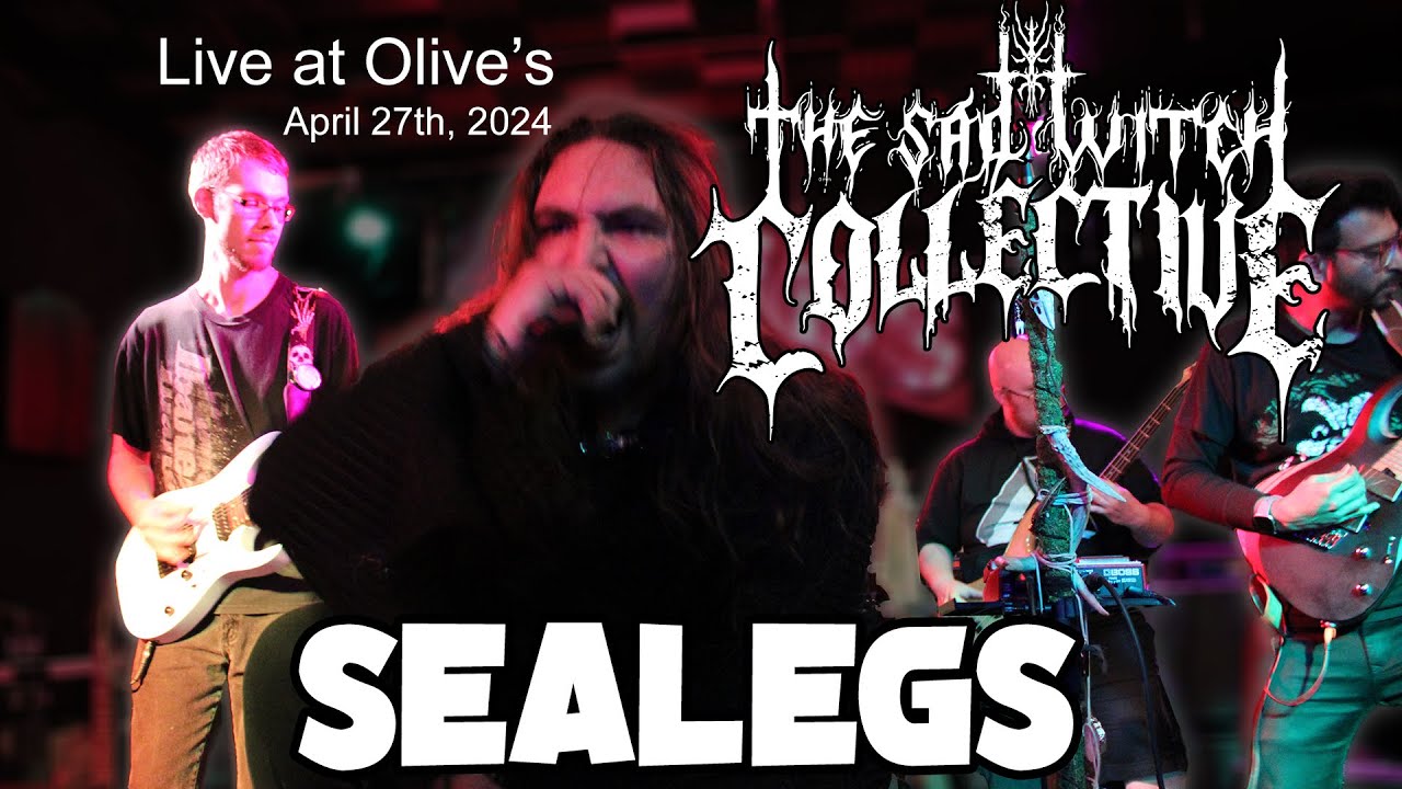 Sealegs Live at Olive's April 27th, 2024, Nyack New York YouTube