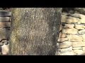 Retaining Wall Lights Low Voltage