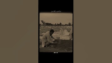 #عبدالرحمن_مسعد #عبدالرحمن_مسعد_تلاوة_جديدة #duet #funnyimages #caption #اكسبلور #funnymemes