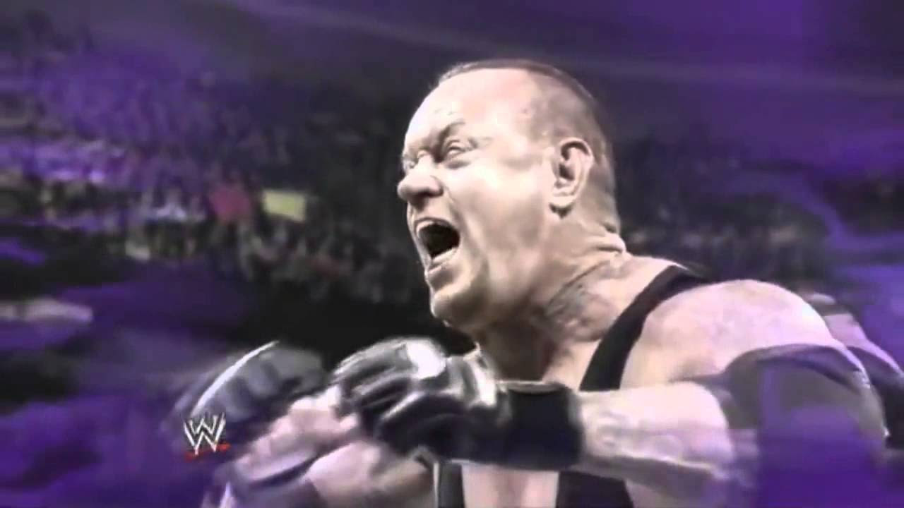 Undertaker vs CM Punk Wrestlemania 29 Final Promo