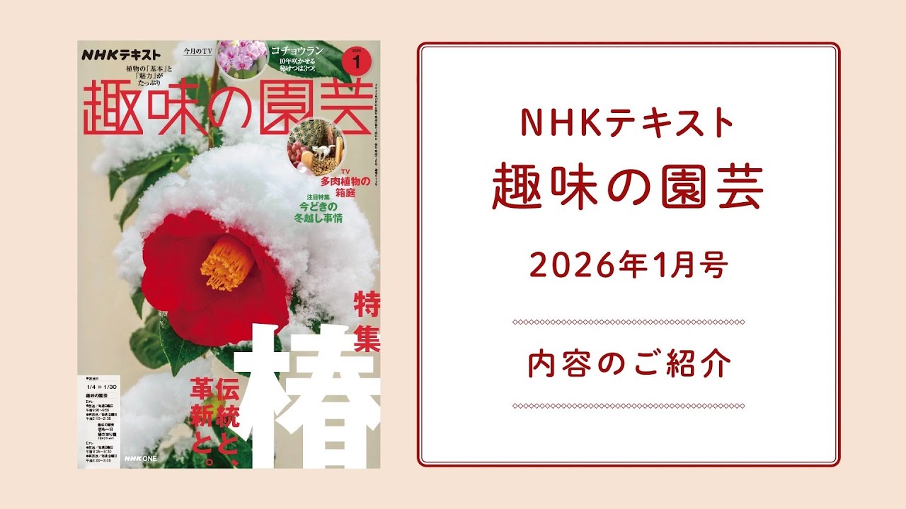NHK Textbook 