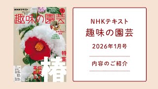 NHK Textbook 