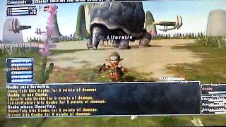 FFXI Genbu fight