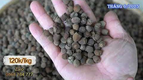 Quả Sim Khô Ngâm Rượu giá 120k/1kg - Giá Tháng 6/2025