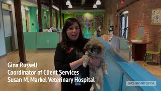 National Volunteer Week - Susan M. Markel Veterinary Hospital
