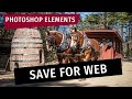 Photoshop Elements: Save Photos for the Web