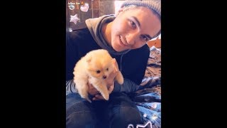 Jeffree Star Gets A New Puppy Snapchat Story