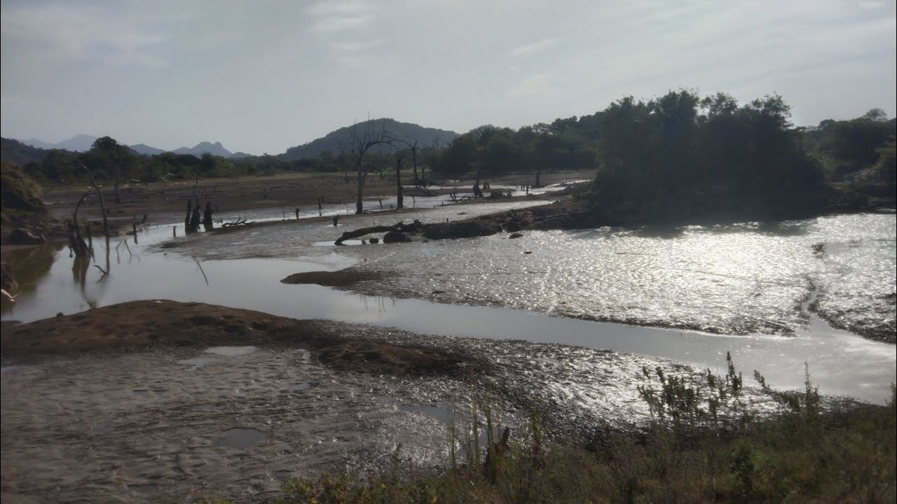 දප්පුල වැවට වෙච්ච දෙයක්😭😥@WasanthaAiya 👍