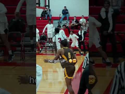 Bunnies … 🐰 #basketball #philly #viralvideo